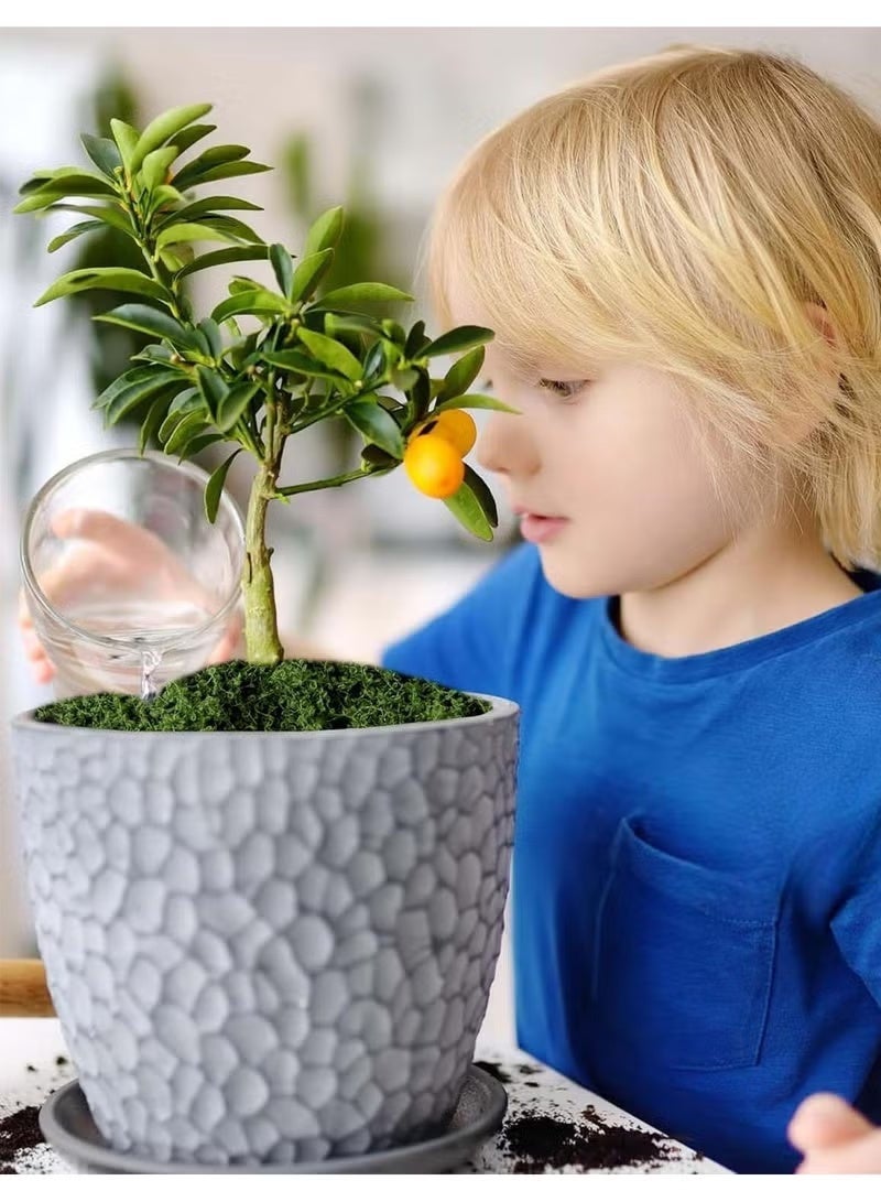 100g Moss Grass Perfectly Simulates Artificial Moss Fake Green Grass for Centerpieces Home Kitchen Garden Decor Preserved Forest Moss - Image 5